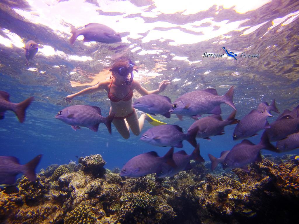 Relax Residence Thoddoo Maldives Екстериор снимка
